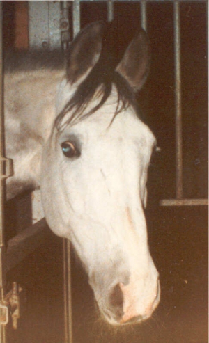 Aldebaran3