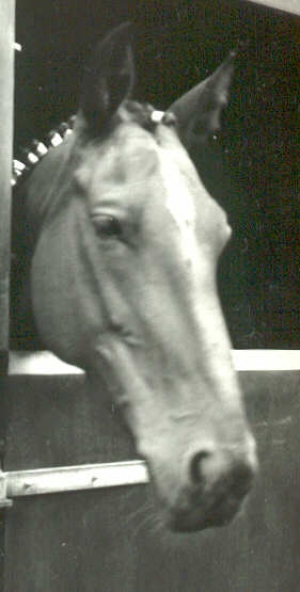 Antares2