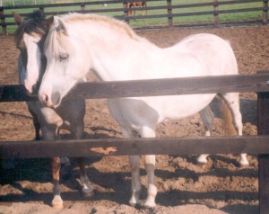 ApolloIII4