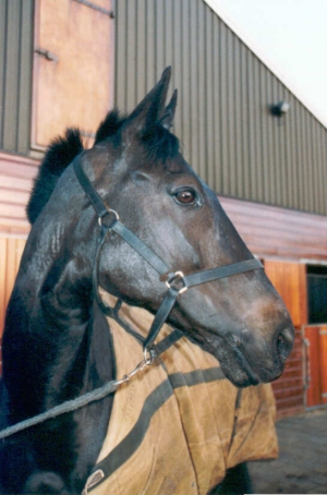 Arthur
