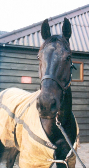 Arthur2