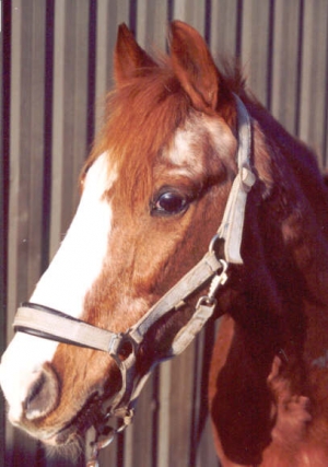 Atair3