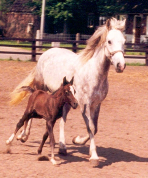 BabouBimbo