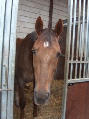 Beppie-2005-2