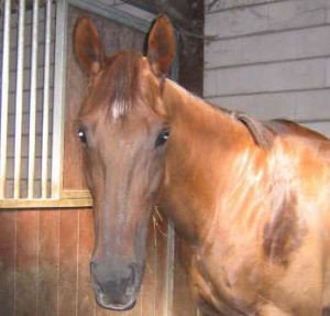Beppie-2005