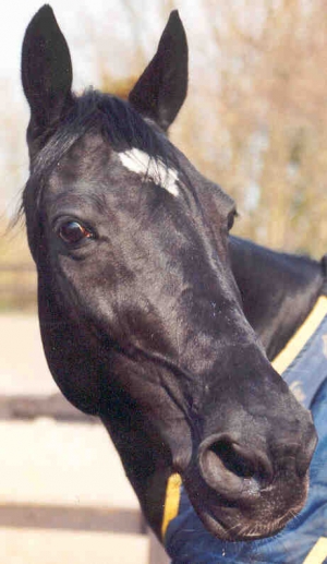 Blackstar1