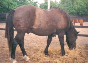 Buf9