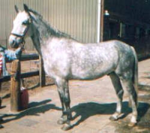 Buster2