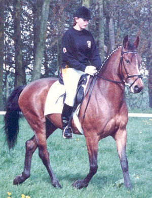 Cezan2