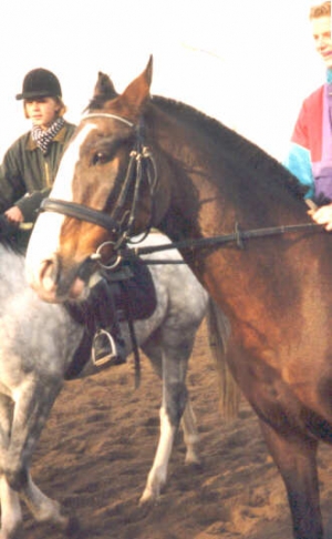 Cromwell2