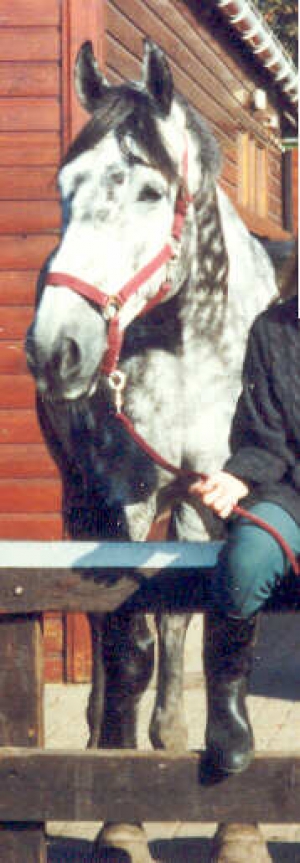 Cupido4
