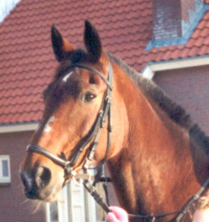 Dacour3