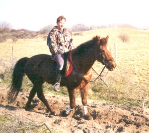 Dorcas