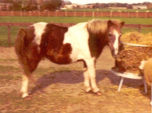 Entos6