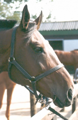 Faramir