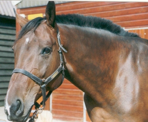 Faramir3