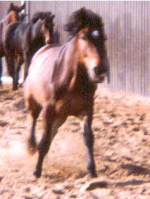 GorbyI2