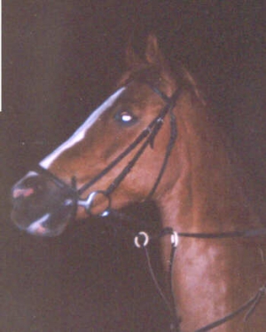 HigginsII4