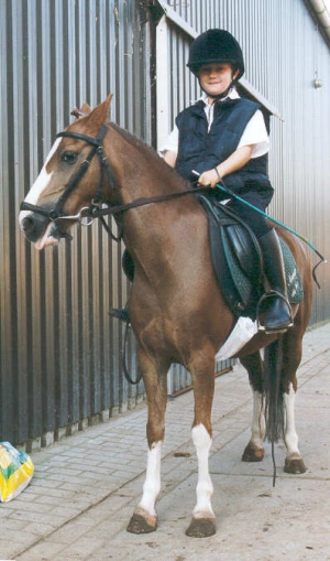 Ieni Mini