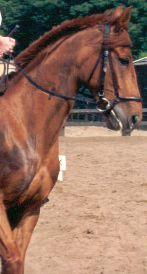 JePeux2