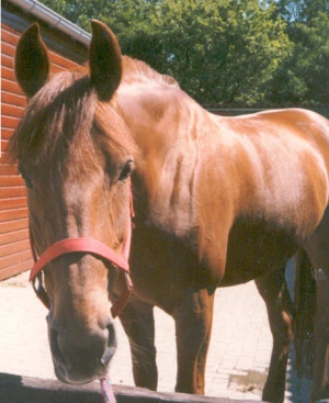 JePeux4