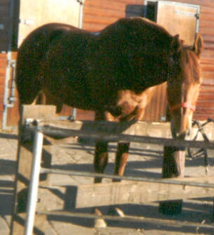 JePeux5