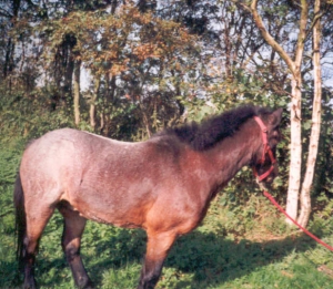 JimmyI10