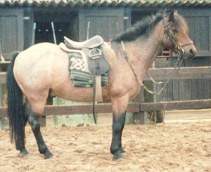 Jimmy I