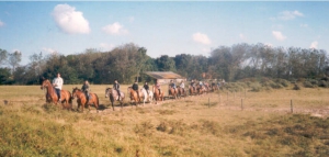 Johanna'shof3