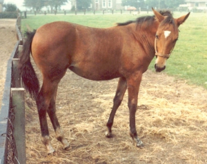 JollyJacqueline