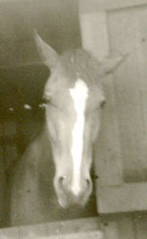 Joska4