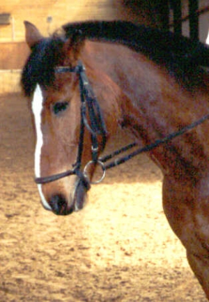 Joska8