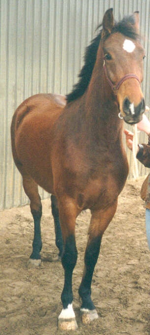 Keenyboy