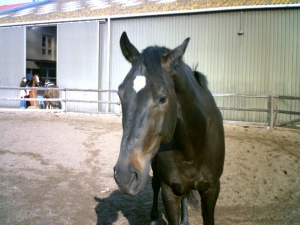 Kenny-23-9-07-b