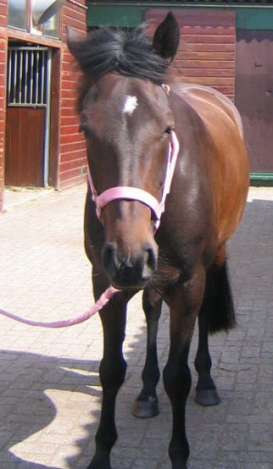 Kimberly-2005