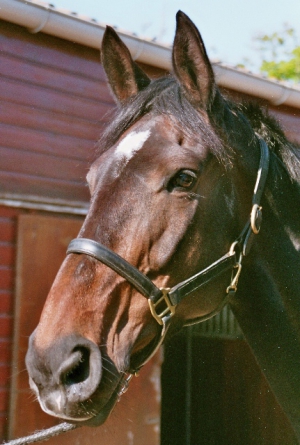 Kiss of Ferro-2