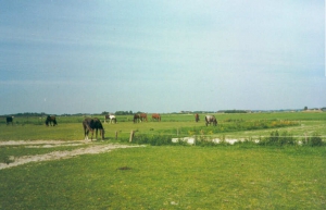 LandvanBuur