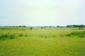 LandvanBuur2