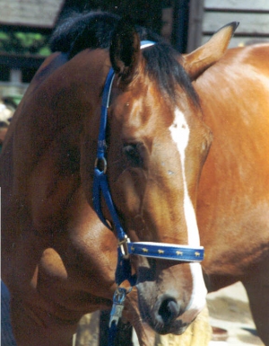 LloydI