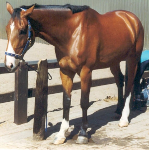 LloydI2