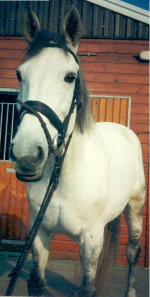 Mamou2