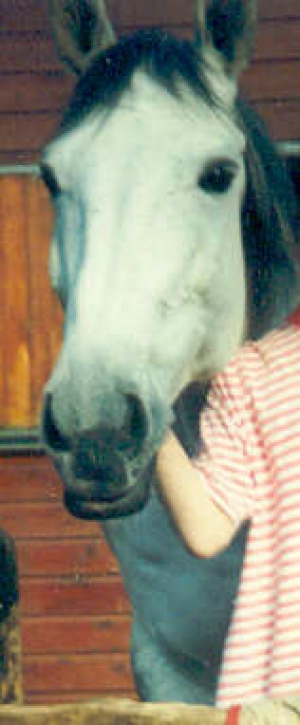 Mamou3