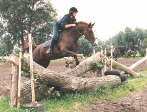 Marple2