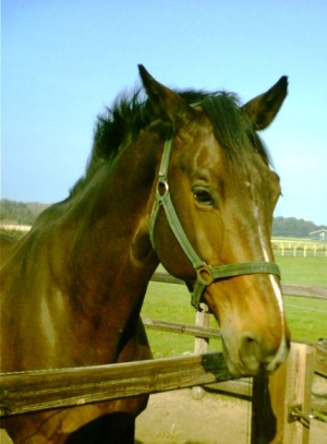Othello-23-9-07-b