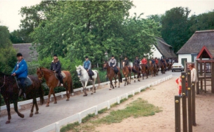 Ponykamp97 10
