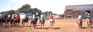 Ponykamp97 12