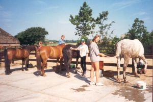Ponykamp97 2