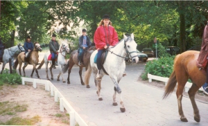 Ponykamp97 5