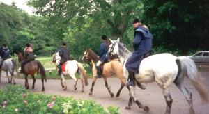 Ponykamp97 6