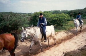 Ponykamp97 9